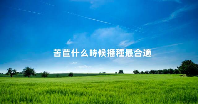 苦苣什么時候播種最合適 苦苣種子催芽方法